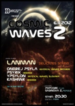 Mystical Waves party