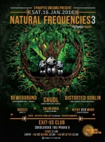 Natural Frequencies 3