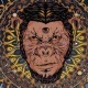 Third Eye of Monkey